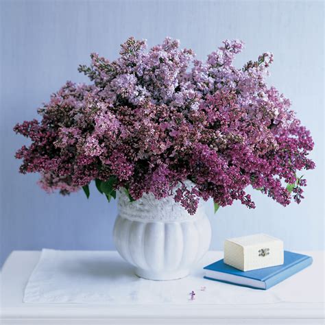 Lilac Arrangements | Martha Stewart