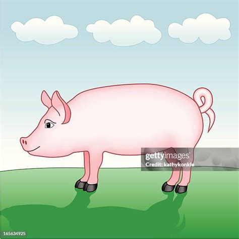 Pig Side View Cartoon High Res Illustrations - Getty Images