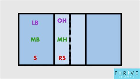 Volleyball Positions | Everything You Need to Know
