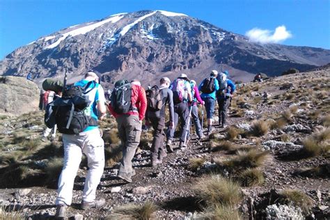 Mount Kilimanjaro Climbing - Wild Peak Adventures