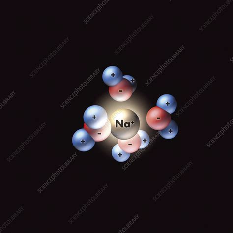 Sodium ion, illustration - Stock Image - C058/0653 - Science Photo Library