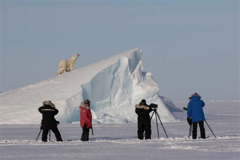 6 Tips for Incredible Arctic Photography | Arctic Kingdom