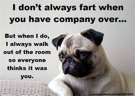 Pug Quotes. QuotesGram