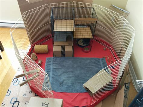 What's the best playpen for indoor buns? : r/Rabbits