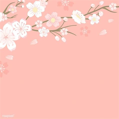 Download free vector of Pink cherry blossom blank background vectot by manotang about ...