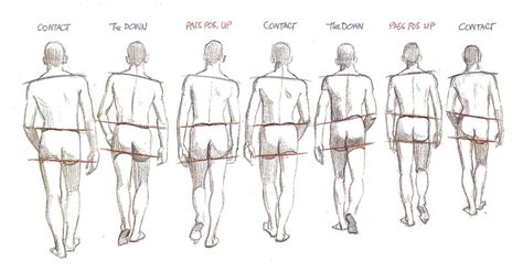 Walking Drawing Reference and Sketches for Artists