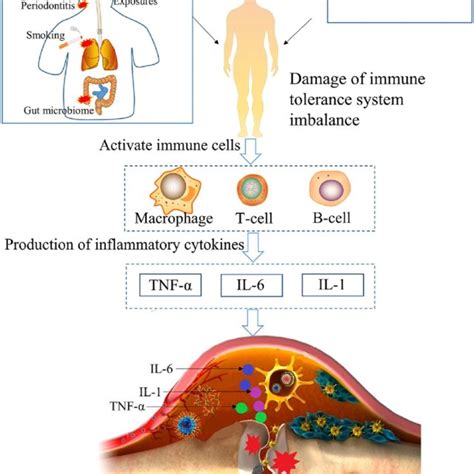 Transdermal route of drug absorption. Copyright 2017, American Chemical... | Download Scientific ...