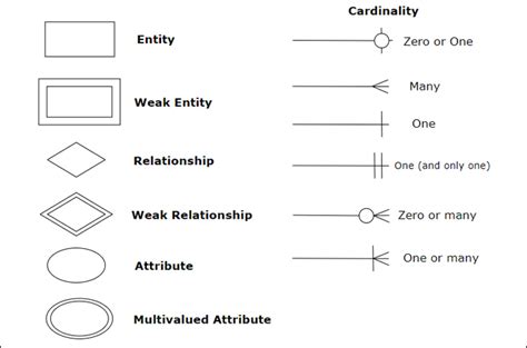 30+ er diagram e commerce database - SinitaKannie