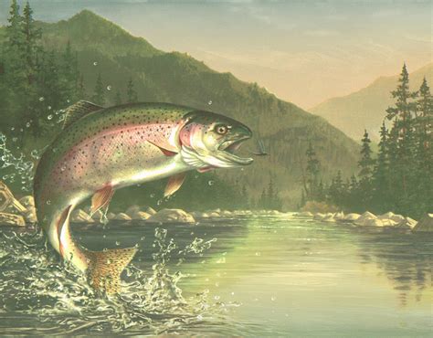 🔥 [48+] Fly Fishing Wallpapers Backgrounds | WallpaperSafari