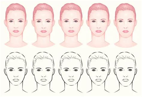 Free human face shape Clipart Images | FreeImages