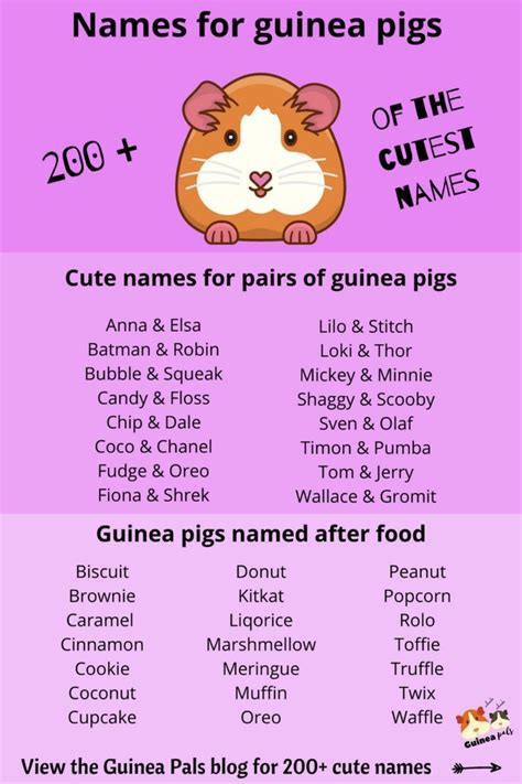 Names for guinea pigs – Artofit