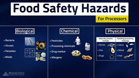 biological hazards in food processing - Claris Mccreary