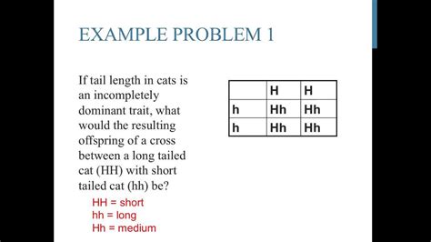 Punnett Square Examples