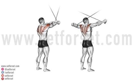 Cable Rear Delt Fly: How To, Muscles Worked, & Variations - SET FOR SET