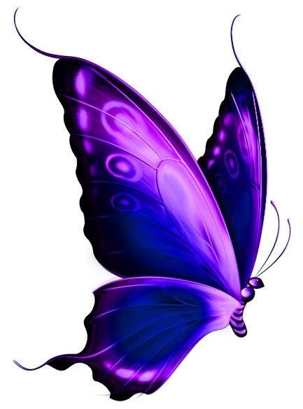 Free Purple Butterfly Cliparts, Download Free Purple Butterfly Cliparts png images, Free ...