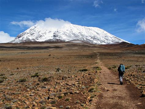 Why is Mount Kilimanjaro covered with snow at the summit?