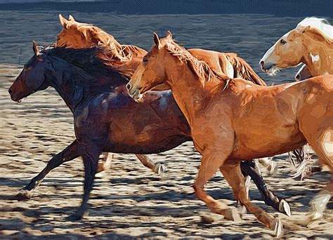 Wild Horses Running Painting by Clarence Alford - Fine Art America