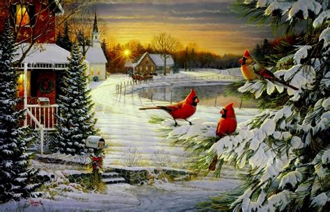 Image detail for -Cardinals birds - Cardinal's Christmas 95120 | Cardinals | Pinterest | Bird ...