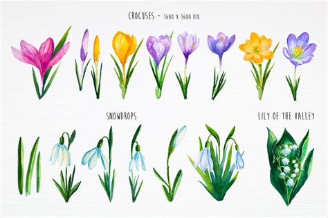 Spring flowers. Watercolor. By Alex Green | TheHungryJPEG