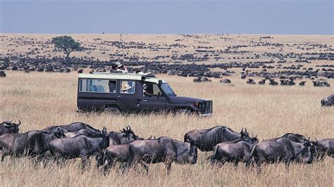 Maasai Mara Game Reserve Reopens after 4 Months - Kenyan Wall Street - Business, Markets ...