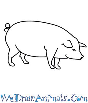 How To Draw A Pig