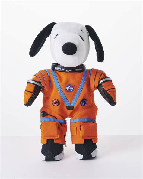 One Small Step For Man, One Giant Leap for Snoopy: Plush Version Scheduled for Rocket Ride ...