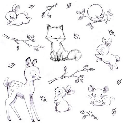 Baby Animals Drawing