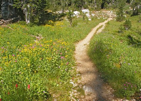 Paintbrush Canyon Trail, Grand Teton National Park, Wyoming