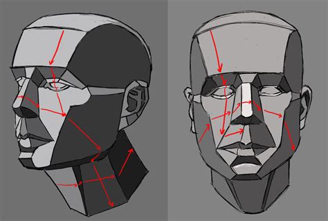 How to Draw a Face - Facial Proportions | Drawings, Face drawing, Planes of the face