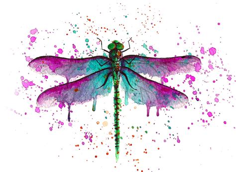 DRAGONFLY watercolour painting illustration original or print