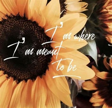 Sunflower Iphone Wallpaper, Iphone Background Wallpaper, Aesthetic Iphone Wallpaper, Aesthetic ...