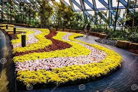 Jewel Changi Airport Singapore - Canopy Park Editorial Stock Photo - Image of attraction, canopy ...