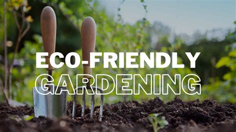 Eco-Friendly Gardening: Green Techniques for a Vibrant Garden