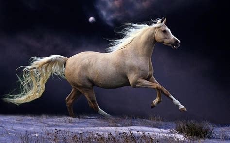 Running Horse Wallpapers - Top Free Running Horse Backgrounds - WallpaperAccess