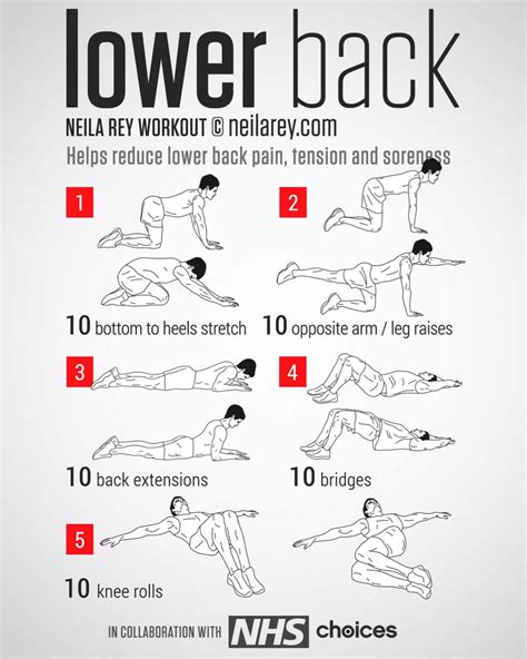 Lower Back | exercises for back pain | Pinterest | Träning, Hälsa och Träning för ryggen