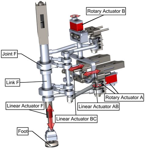 Actuators in the robotic leg. | Download Scientific Diagram