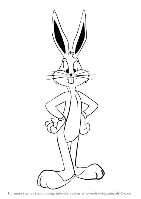 Learn How to Draw Bugs Bunny from Looney Tunes (Looney Tunes) Step by Step : Drawing Tutorials