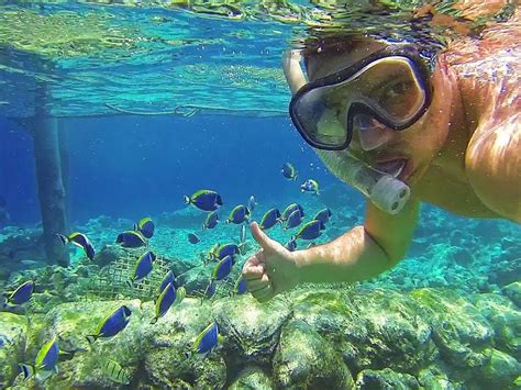 San Juan Snorkeling Tour | San Juan Tours