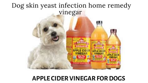 Can You Use Vinegar To Treat Dogs Yeast Infection