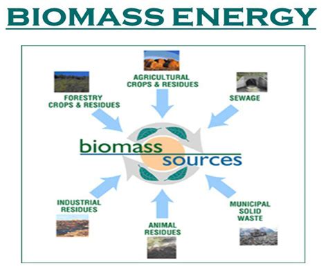 biomass energy & biomass fuels