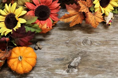 Pumpkin And Fall Flowers Background Free Stock Photo - Public Domain Pictures