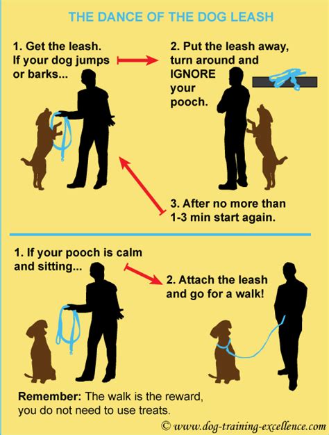 10 Dog Walking Tips to Enjoy a Stroll with your Furry Friend