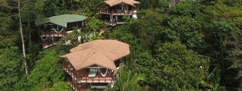 6 Best Costa Rica Treehouse Hotels | Costa Rica Experts