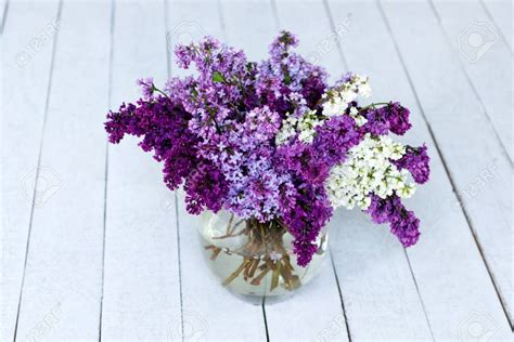 Lilac Arrangements and Bouquet Ideas