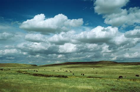 Tropical Grassland Climate