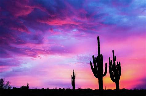 Monsoon Desert Sunset Photograph by Stacy LeClair - Pixels