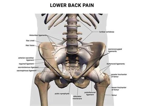 Sharp Stabbing Pain in Lower Left Side of Back - Physical Therapists NYC