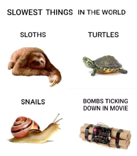 So slow.. - Meme by 0hHelloThere :) Memedroid