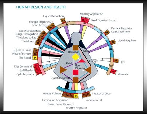 Human Design Relationship Chart