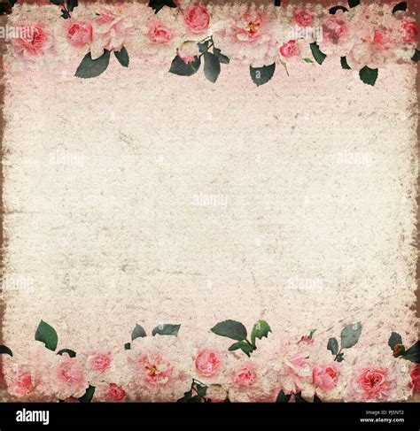 Old rose background hi-res stock photography and images - Alamy